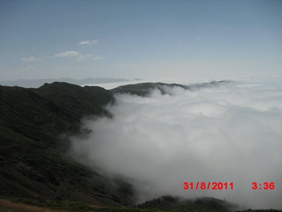 Rize handüzü yaylasý