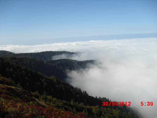 Rize handüzü yaylasý