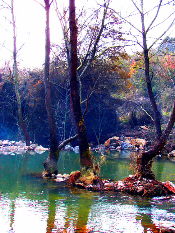 Huzur [Vildan Sönmez]
