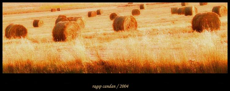 Balyalar [Ragýp Candan]