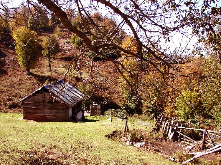 Aytepe de sonbahar [Vildan Sönmez]