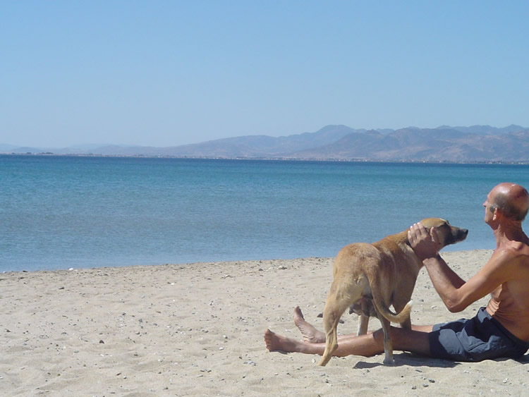 Köpek ve yaþlý adamýn dostluðu [Çaðýn Ergin]