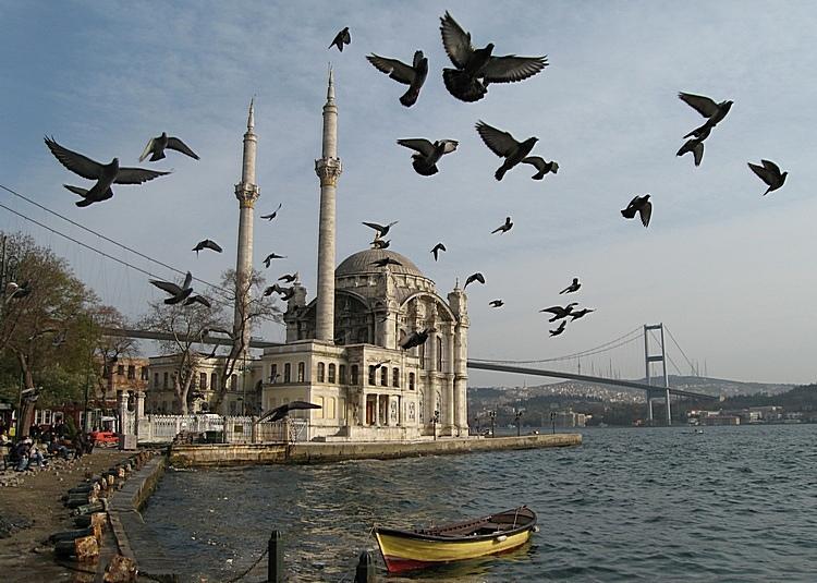 Ortaköy cami ve kuþlar [Ali Baþarýr]