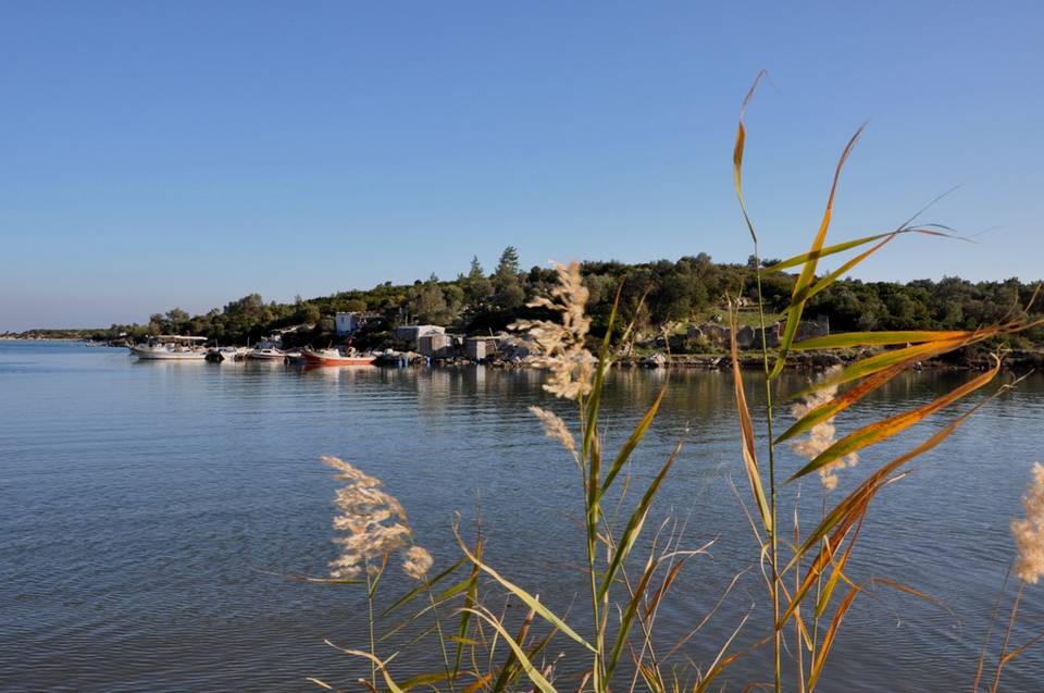 Sazlýk