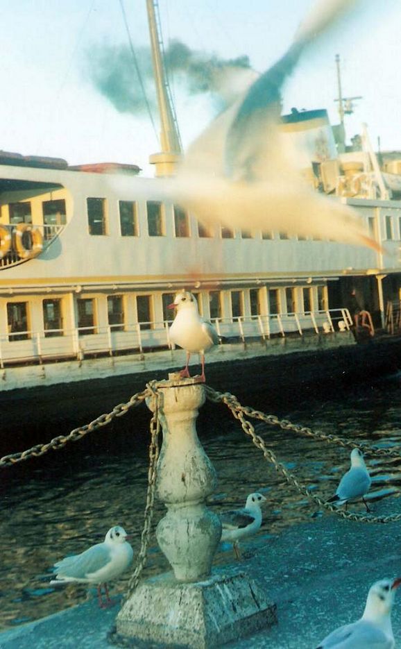 Haydarpaþa Ýskelesi [Uður Özyiðit]
