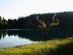 Göl ve aðaç [Vildan Sönmez]