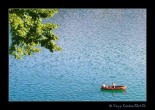 Bled [Ragýp Candan]