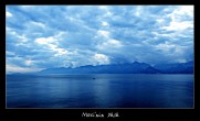 Mavinin düþü [Koray Demiriðe]
