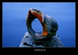 Sonsuzluk [Koray Demiriðe]