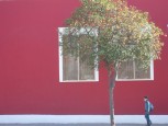 Bordo [Kemal Fikret KOÇAK]