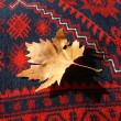 Sonbaharda yagcýbedir [Necip Karatuna]