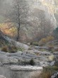 Sonbahar [Vildan Sönmez]