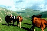Yayla hayatý [Ayhan Sahinturk]
