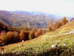 Yuvacýk [Vildan Sönmez]