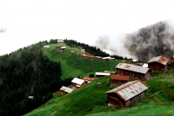 pokut yaylasý