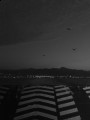 Ýzmir feribot [Uður TURAN]