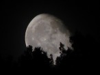 Gece Güneþi [Levent Erlat]