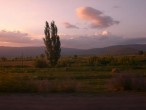 Gün ßatýmýnda aðaç{ yoLdayken çekiLdi} [ßüþRa]