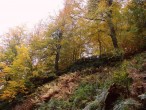Sonbaharýn renkleri [Vildan Sönmez]