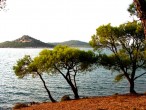 Çamlar ve deniz [Vildan Sönmez]