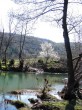 Dere ve bahar [Vildan Sönmez]