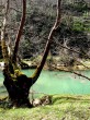 Yeþilmiþik [Vildan Sönmez]