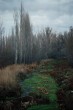 Pastel dere yataðý 2 [Özgür Oktay]