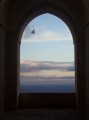 Mardin kuþu :) [Habib Yücel]