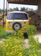 Volkswagen [Ali Yalçýner]