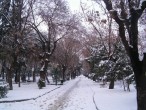 Yogurtcu parký - Kadýkoy [Berkhan]