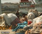 Þileli Balýkçýlar [Yavuz Çetintaþ]