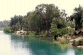 Adana dan bir kare [Tayfun Tarým]