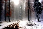 Yol [Ceyhun Özener]