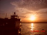 Beykoz korusunda günbatýmý [Ayþen Kýzak]